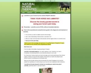 Laminitis (Founder) Advice - Symptoms and Causes and Treatment of Laminitis in horses