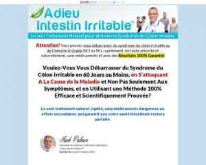 Irritable Bowel Syndrome (ibs) - French Market.