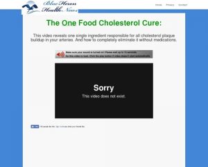 The Oxidized Cholesterol Strategy - Blue Heron Health News